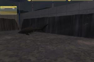 Zoo Tycoon 2: Marine Mania 1